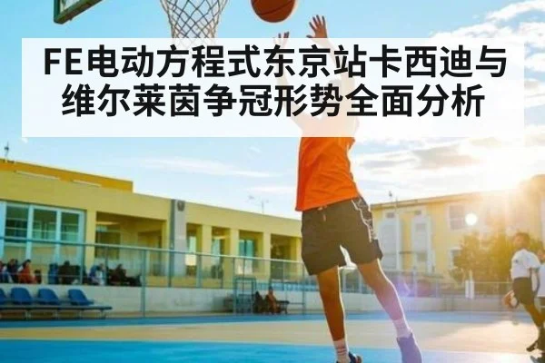 FE电动方程式东京站卡西迪与维尔莱茵争冠形势全面分析